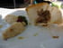 Saut� de chevreau au miel et au jus de pomme
