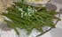 Haricots verts � la gremolata