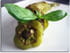 Cornes de boeuf farcies � la viande