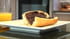 P�te � tartiner fa�on  Nutella