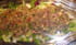 Salade boeuf Thai