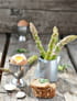 Asperges � la Fontenelle
